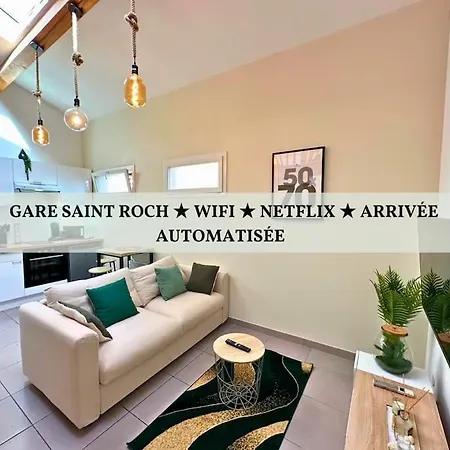 Le Quai Des Orchidees - Climatisation - Netflix Apartment *